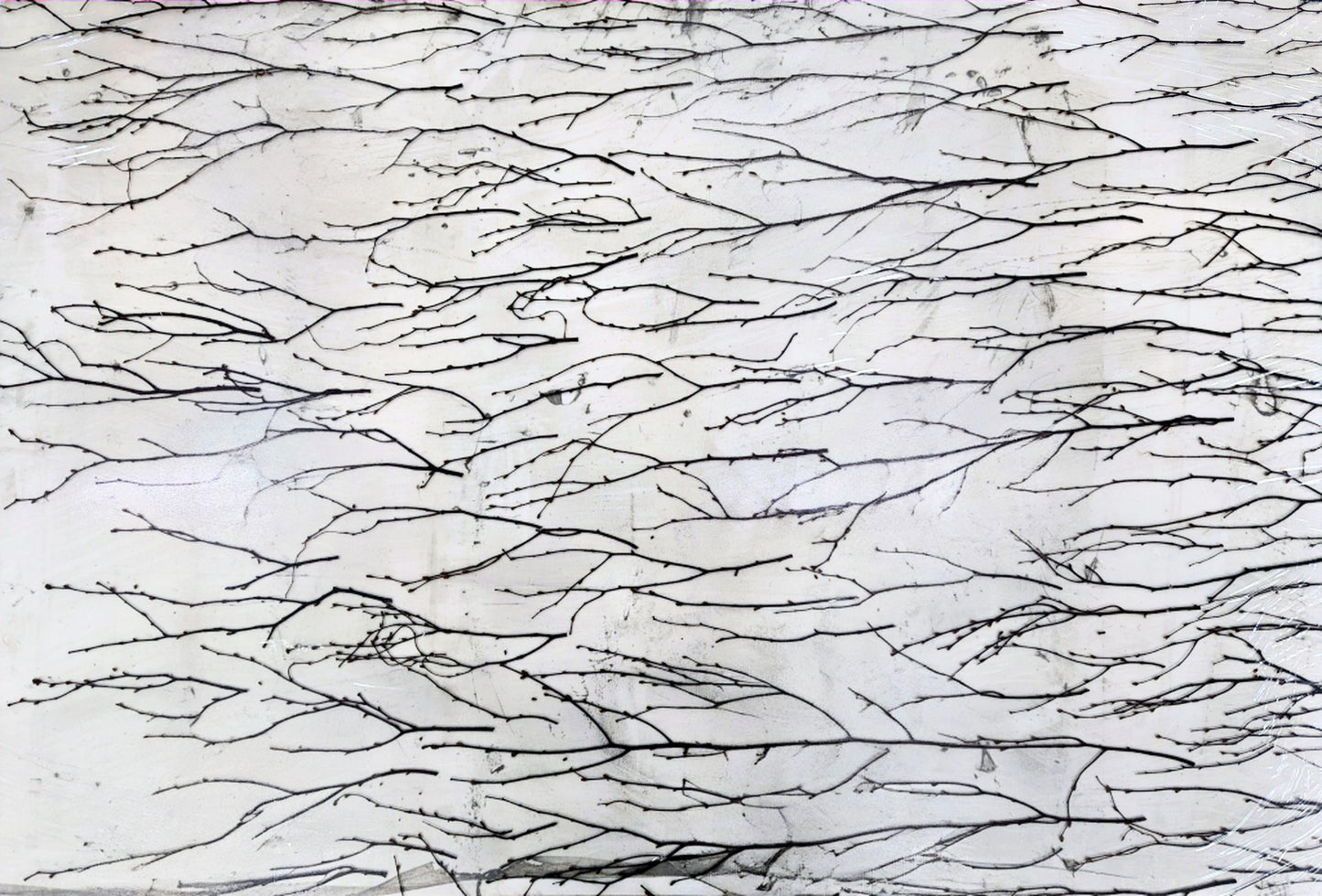 Decorative Screening Panels - Birch